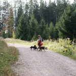 Auf dem Weg zur Spadenbergkapelle