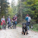 Auf dem Weg zur Spadenbergkapelle